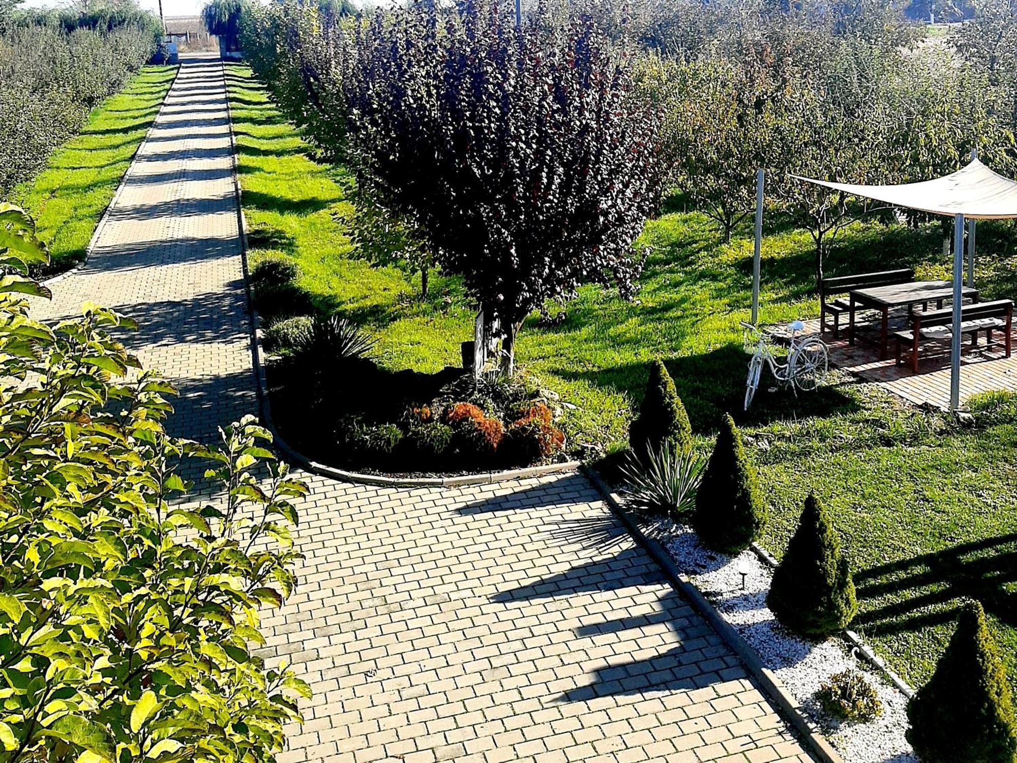 Dor De Casa Hotel Doljesti Exterior photo